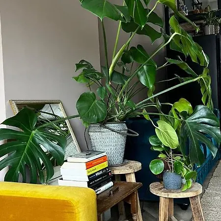 Boetiek Azul * Goedereede