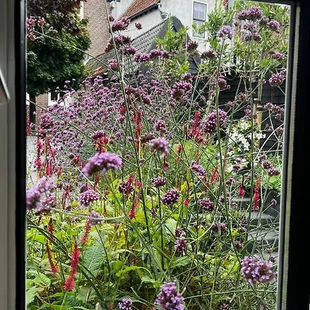 Hotell Boetiek Azul *