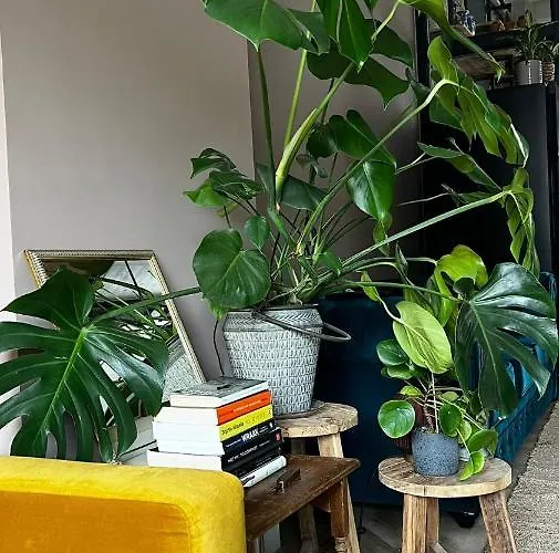 Boetiek Azul * Goedereede