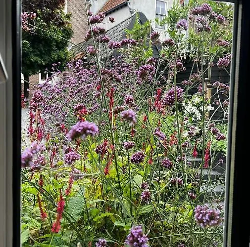 酒店 Boetiek Azul *